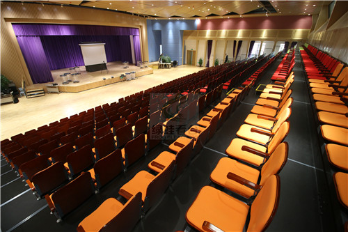 綠蛙成功落戶于樂灣國際實驗小學多功能廳