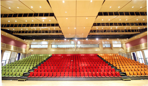 綠蛙成功落戶于樂灣國際實驗小學多功能廳