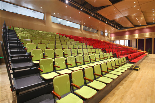 綠蛙成功落戶于樂灣國際實驗小學多功能廳