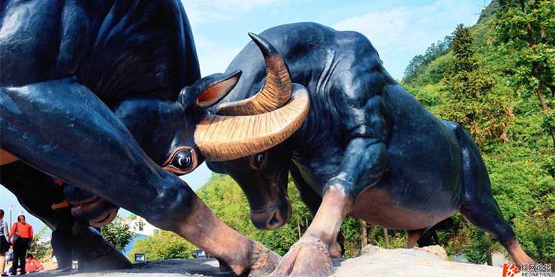 綠蛙看臺帶你到云臺山斗牛場