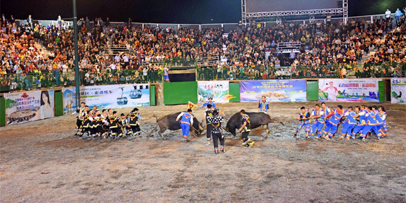 綠蛙看臺帶你到云臺山斗牛場