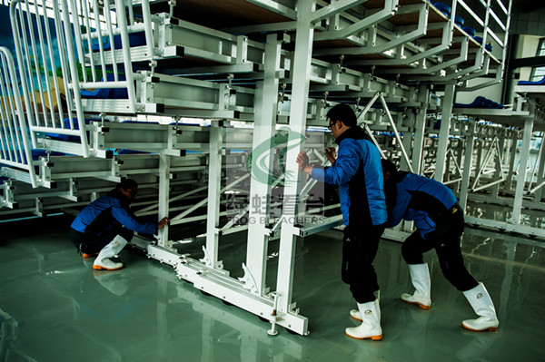 綠蛙可移動式伸縮看臺座椅