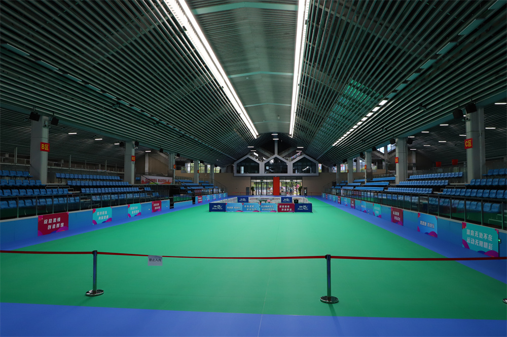 大亞灣區奧林匹克體育公園看臺座椅